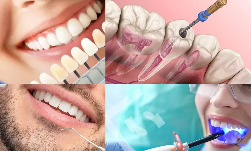 Düzce Zirkonyum Nedir?