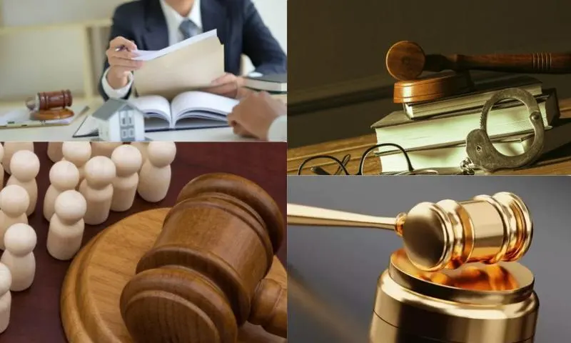 Vergi Ceza Hukuku ve Vergi Denetimi