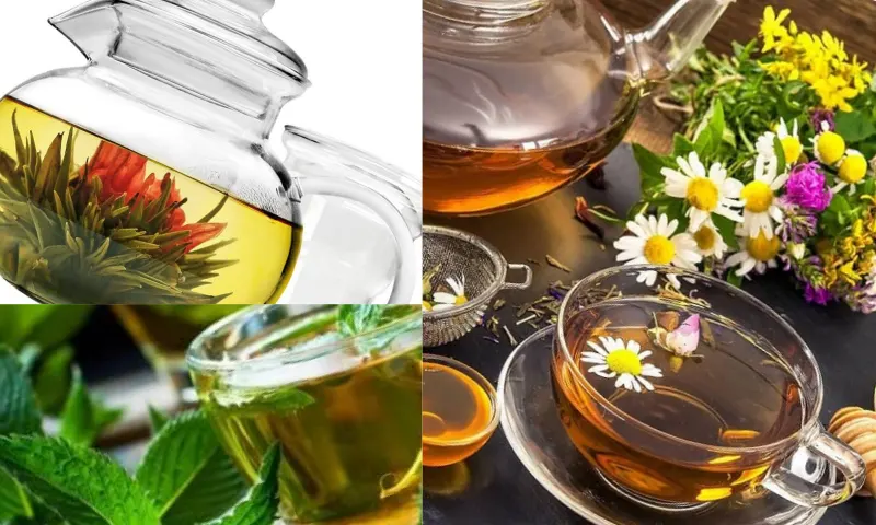 Mentol Bitki Çayı Nedir?