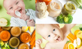 Bebeklerde Ek Gıda Nedir?