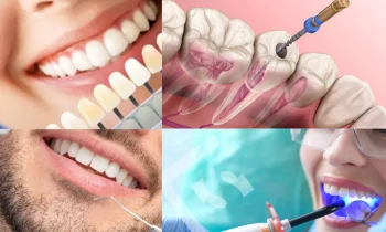 Düzce Zirkonyum Nedir?