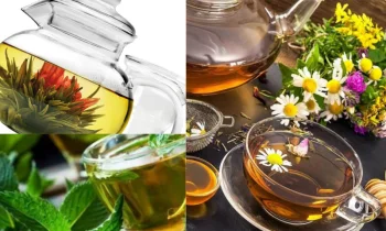 Mentol Bitki Çayı Nedir?