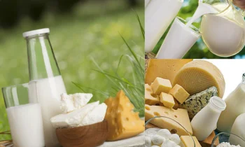 Organik Süt Ürünleri: Doğallığın ve Sağlığın Kaynağı