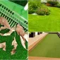 Suni (Sentetik) Çim Halı Dekorasyon Amacı ile Nasıl Kullanılır